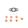 Turbocharger Mounting Kit Fits 95-05 Audi Honda Rover Volkswagen Diesel 1.9 2.0