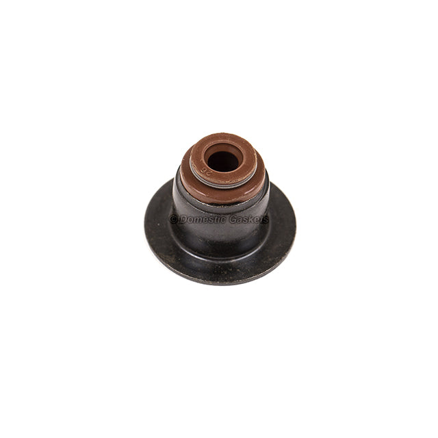 Fits 04-10 Ford Lincoln Mercury 4.6L 5.4L 3-Valve Triton V8 SOHC 24