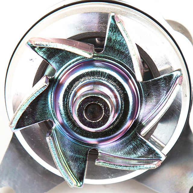 Timing Chain Kit Water Pump Fit 12-17 Ford Focus 2.0L 16V DOHC