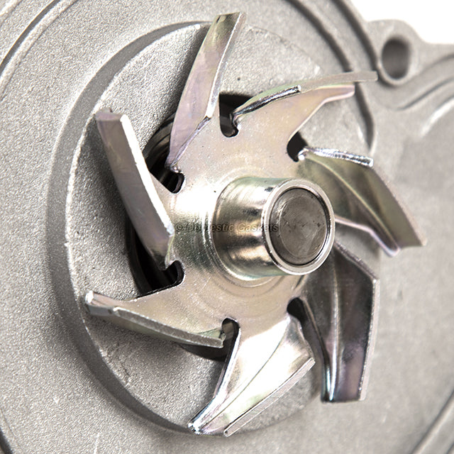 Timing Chain Kit Water Pump Fits 05-09 Audi A4 A6 A8 Allroad 3.2 AUK BKH BYU