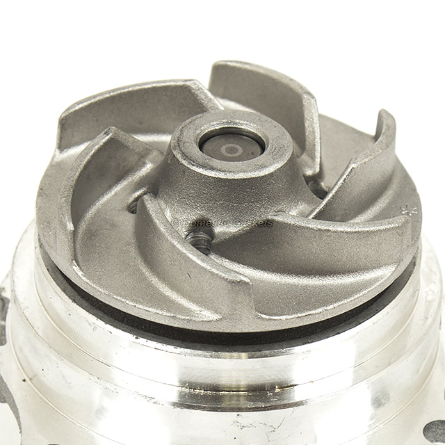 Timing Belt Water Pump Valve Cover Kit Fit 02-04 Ford Focus SVT 2.0L DOHC VIN 5