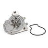 Timing Belt Kit Water Pump Fit Integra Acura VTEC 1.7 B17A1 16V