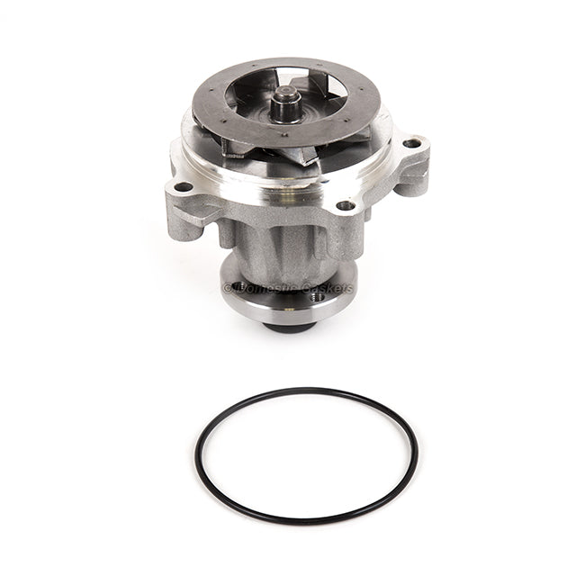 Fit 03-04 Ford E-150 Lincoln Mercury 4.6L SOHC Timing Chain Kit Water & Oil Pump