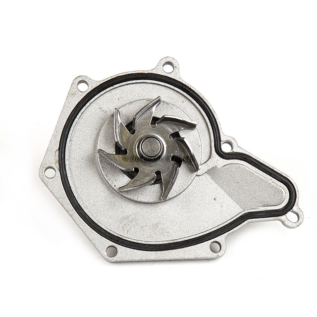 Timing Chain Kit Water Pump Fits 05-09 Audi A4 A6 A8 Quattro 3.2 AUK BKH BYU