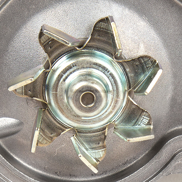 Timing Belt Kit Water Pump Valve Cover Gasket for 94-02 Honda F22B1 F23A5 F23A7