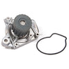 Timing Belt Seal Water Pump Fit 96-00 Civic Honda 1.6 D16Y5 D16Y7 D16Y8 D16B5
