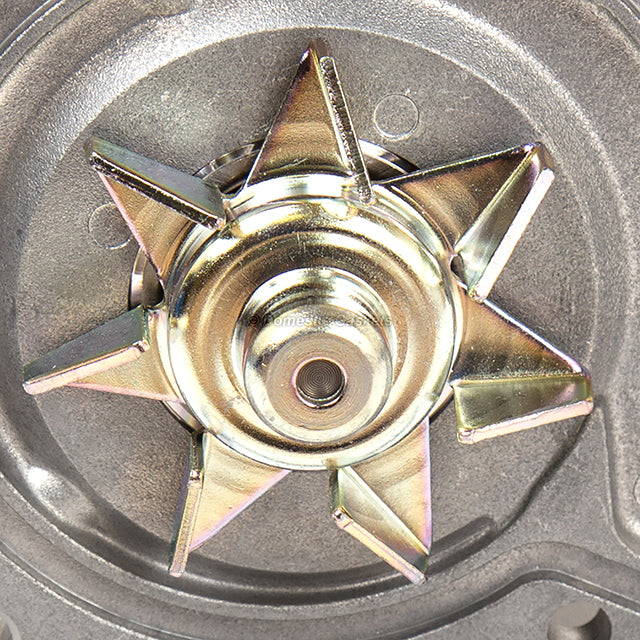 Timing Belt Seal Water Pump Fit 96-00 Civic Honda 1.6 D16Y5 D16Y7 D16Y8 D16B5